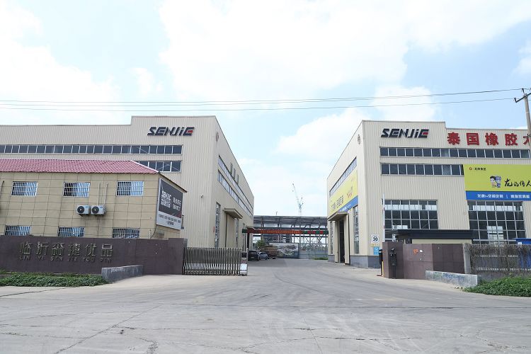 IMG5660001 IMG5660001