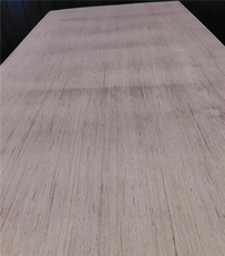Plywood Kemasan 12 mm